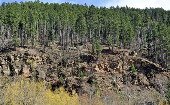 Black Hills South Dakota