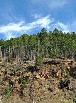 Black Hills South Dakota