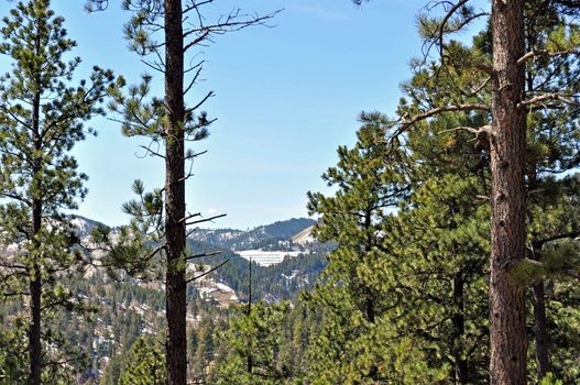 Black Hills South Dakota