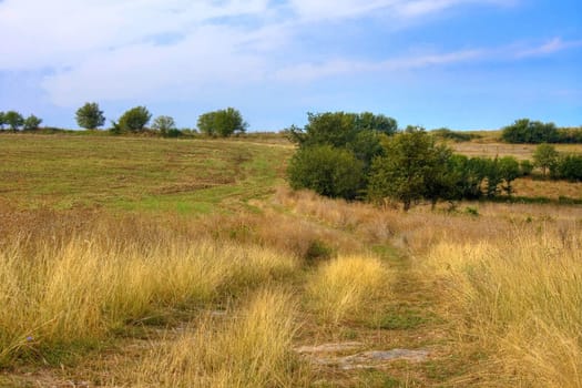 country road