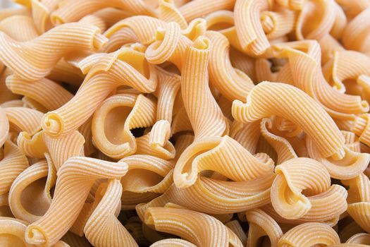 Closeup of dried gigli pasta filling entire frame.