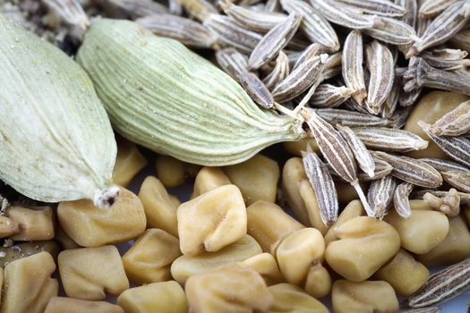 Macro photograph of cardamon, fenugeek and cumin seeds.