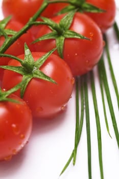 fresh wet tomatoes and chive on the table