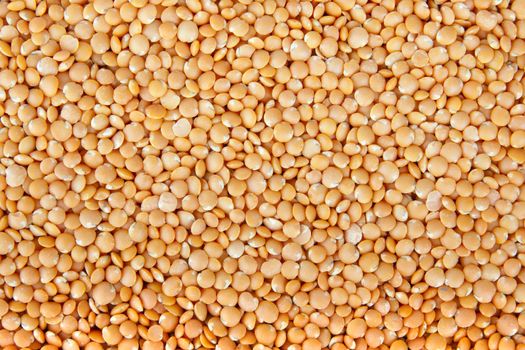 Full frame of dried red lentils for teture or food background.