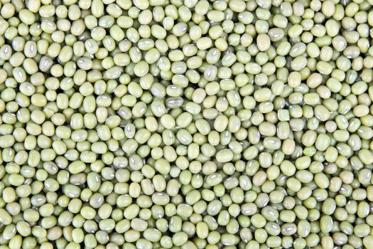 Frame full of mung beans for texture or background.