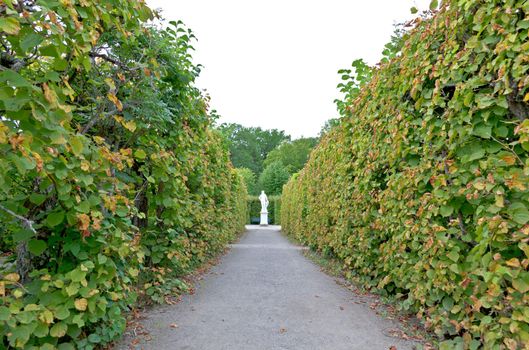 The royal garden of Drottningholms Palace in the Stockholm city, Sweden 
