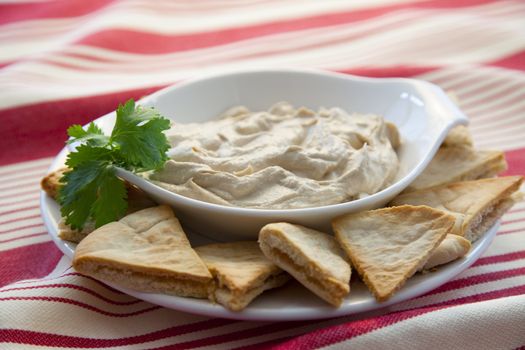 Fresh hummus with pita bread and cilantro garnish.