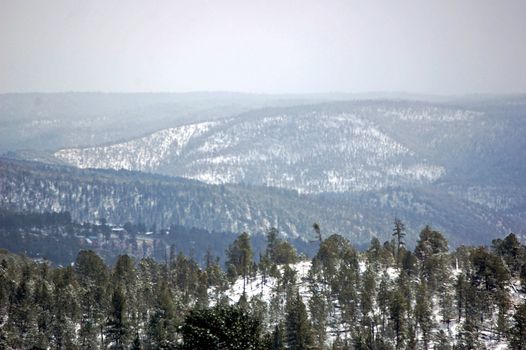 New Mexico Mountains