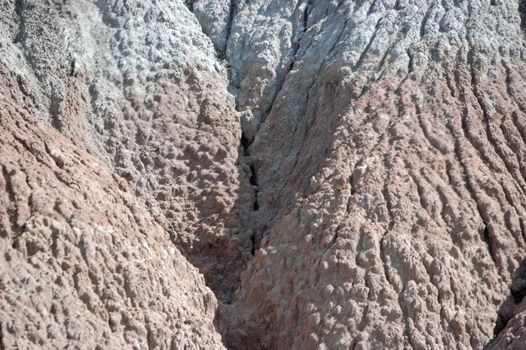 Petrified Forest