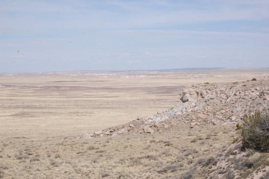 Petrified Forest