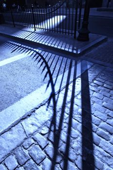 Fence shadow on cobblestone roadway