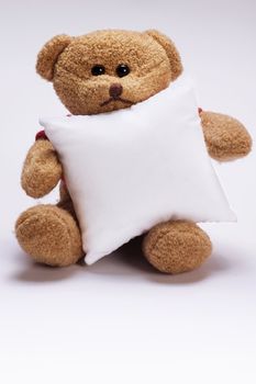 sitting plush teddy bear holding white pillow