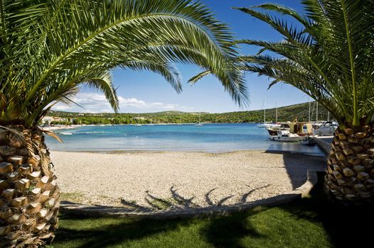 two palm trees on the beach, primosten croatia