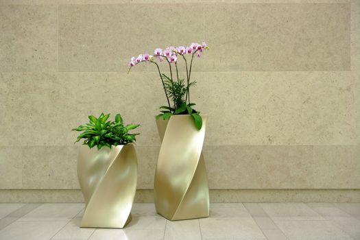 beautiful orchid in lobby