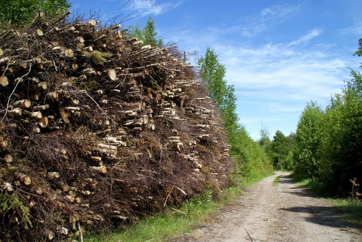 A stack of wood fuel for biomass by forest road in early summer. Photographed in Marttila, Finland.