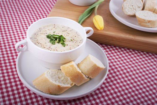 Traditional Dutch mustard soup with yellow tulip.  