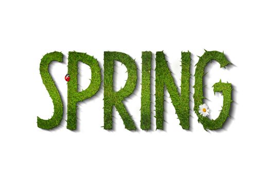 grass spring font isolated on white background