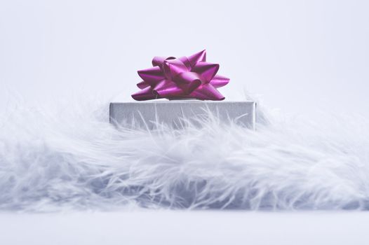 gift with decorative pink ribbon on feather
