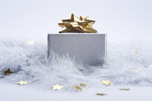 christmas gift with decorative ribbon and stars on feather
