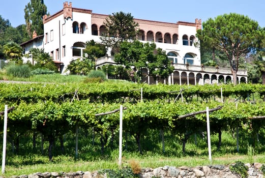 Tuscany, Italy. Italian luxury villa in the country, close to a Lambrusco vineyard