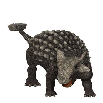 Ankylosaurus was an armored dinosaur from the Creataceous Period of Earths history. Its fossils have been discovered in western North America. It had a heavily armored body and a hammer like bony tail to ward off predators.