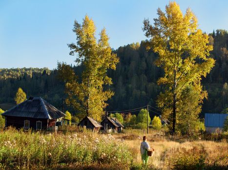 middle of autumn, Indian summer in the south of Western Siberia