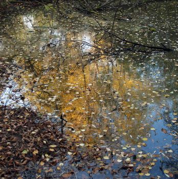 middle of autumn, Indian summer in the south of Western Siberia