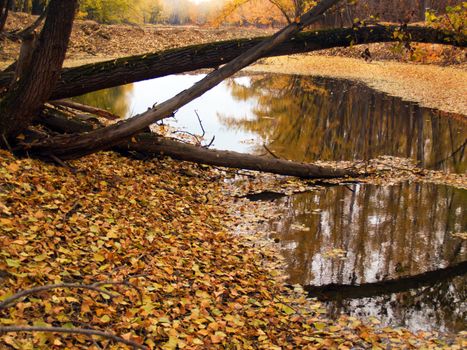 middle of autumn, Indian summer in the south of Western Siberia