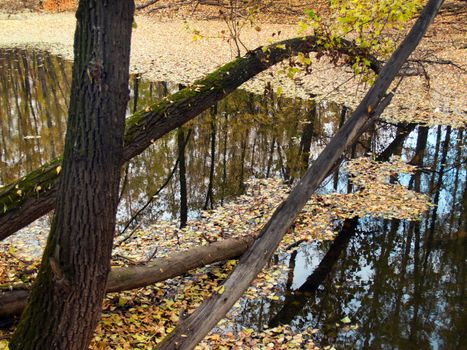 middle of autumn, Indian summer in the south of Western Siberia