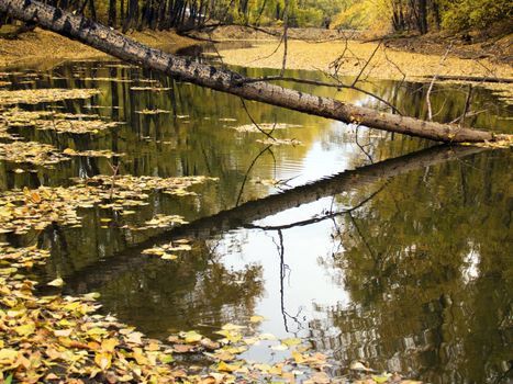 middle of autumn, Indian summer in the south of Western Siberia