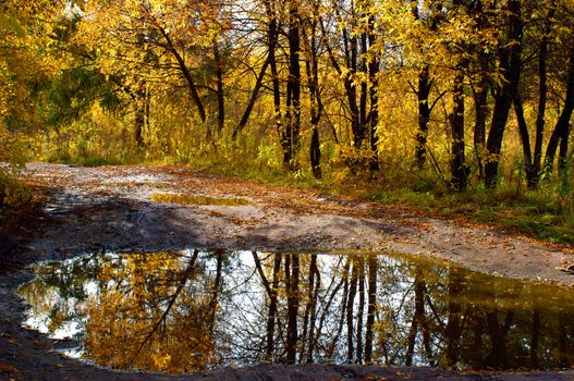 middle of autumn, Indian summer in the south of Western Siberia