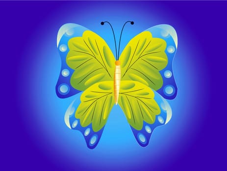 Drawing of the butterfly on turn blue background