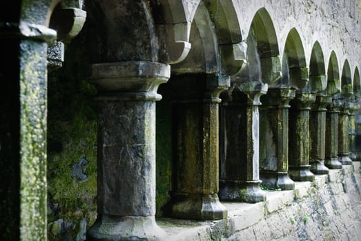 Detail in Sligo Abbey, Ireland