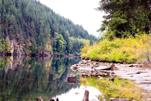 summer lake and mountain view