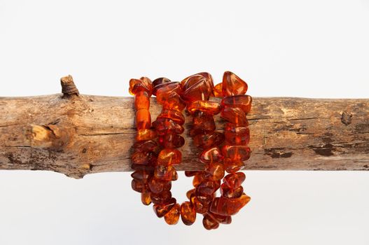 An amber necklace wrapped around a branch
