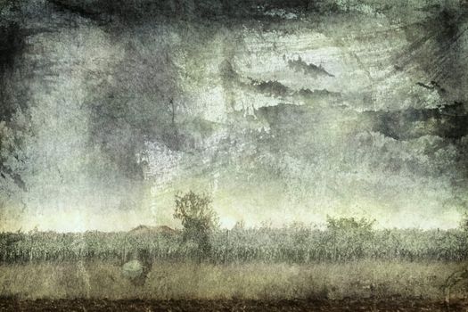 Computer designed highly detailed grunge textured collage - Rural landscape