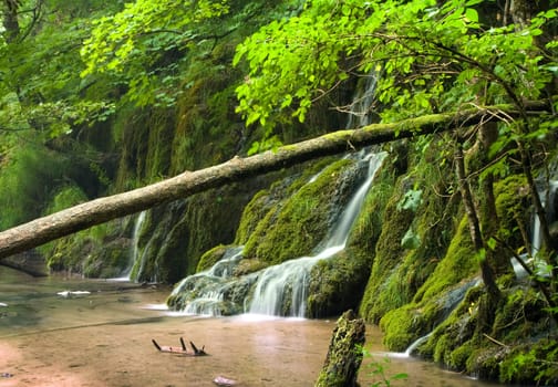 Beautiful  waterfalls in the forest