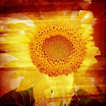 Computer designed highly detailed grunge textured collage - Sunflower