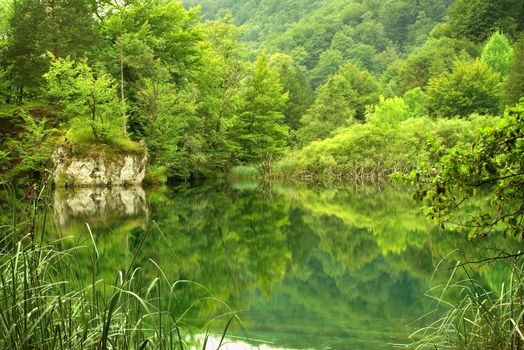 Beautiful landscape of a green lake