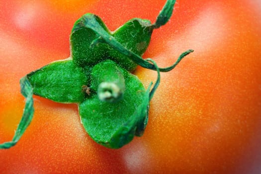 Tasty tomato background , close up photo with shallow dof