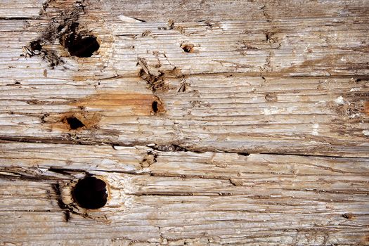 Old grungy wooden texture , close up