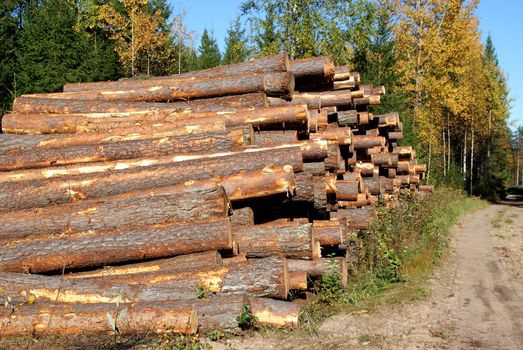 A stack of pine logs on a sunny day of autumn by a rural road ready for transport. Photographed in Marttila, Finland 26 September 2010.