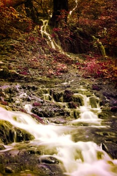 Beautiful waterfalls in the forest