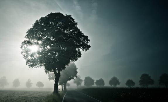 An image of a beautiful landscape with fog in bavaria germany