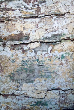 Grunge wooden texture close up photo with space for your text , nice background for your projects