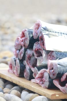 mackerel