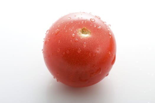 Close up of wild green tomato covered in water drops and isolated on white.