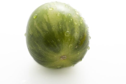 Close up of wild green tomato covered in water drops and isolated on white.