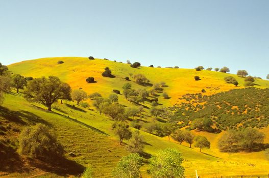 Lake Nacimiento