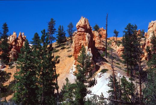 Bryce Canyon National Park is a national park located in southwestern Utah in the United States. Contained within the park is Bryce Canyon. Despite its name, this is not actually a canyon, but rather a giant natural amphitheater created by erosion along the eastern side of the Paunsaugunt Plateau. Bryce is distinctive due to its geological structures, called hoodoos, formed from wind, water, and ice erosion of the river and lakebed sedimentary rocks. The red, orange and white colors of the rocks provide spectacular views to visitors.